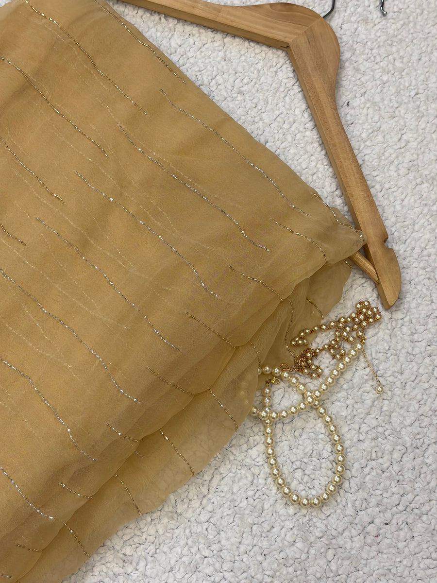 Sunheri | Pure Chiffon Saree in Champagne Gold with Gold and Silver Work