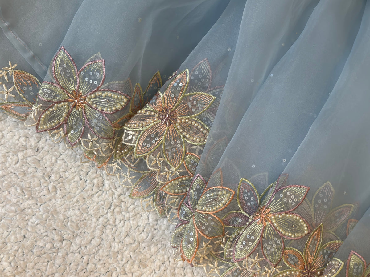 Falak | Pure Organza Saree in Powder Blue with Hand-Embroidered Floral Border and Moti Work