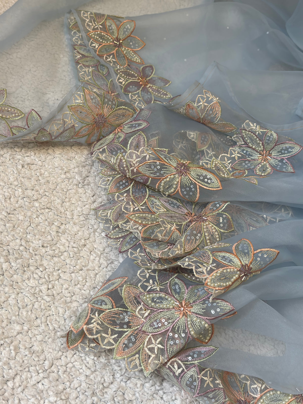 Falak | Pure Organza Saree in Powder Blue with Hand-Embroidered Floral Border and Moti Work
